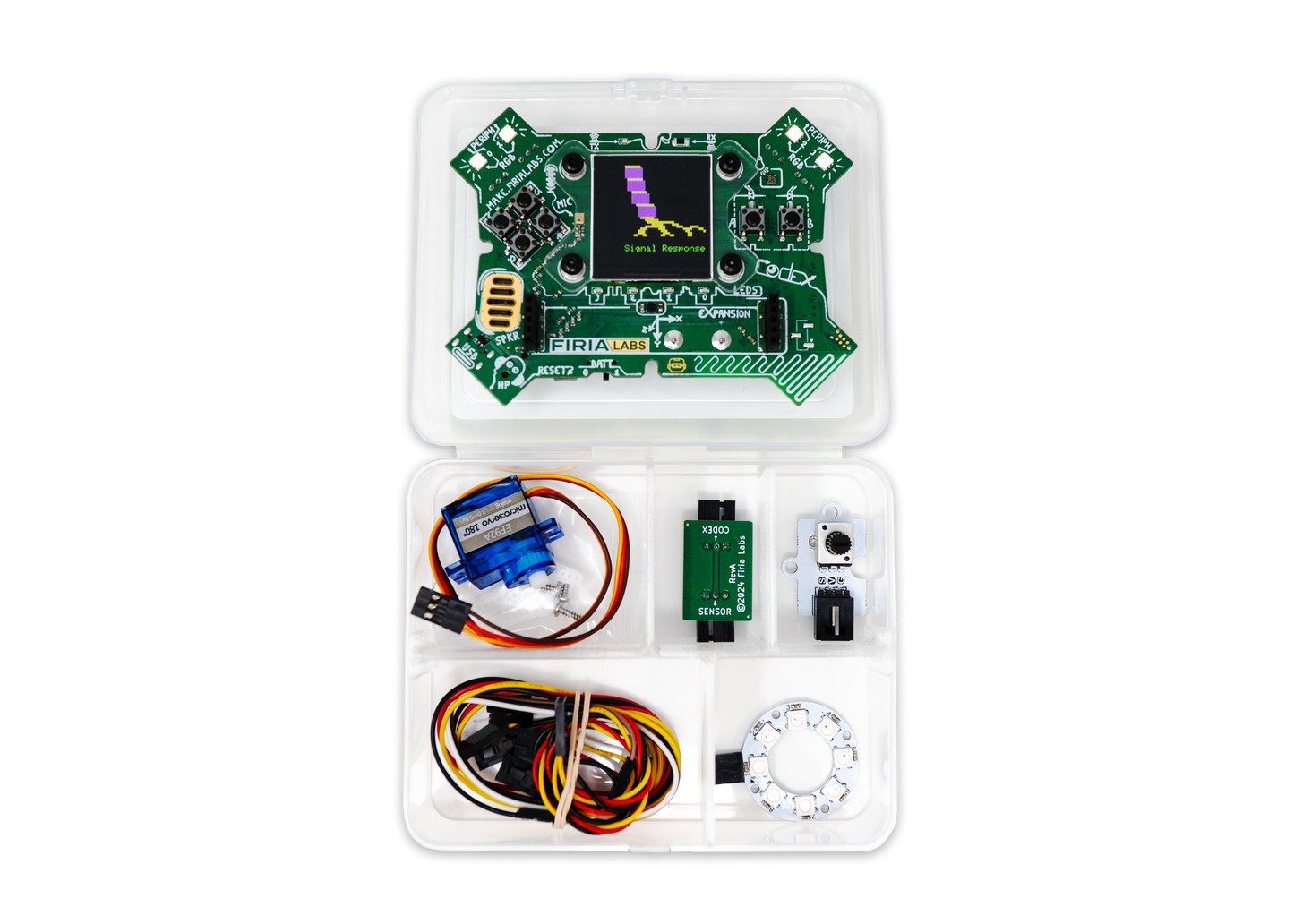 Brain DeCoded with CodeX Kit
