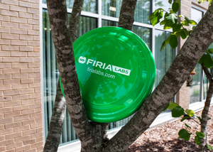 Frisbee